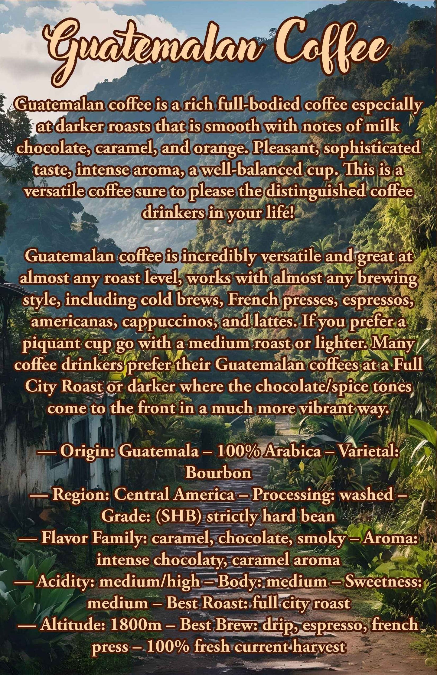 12 Oz Guatemalan Coffee | 100% Arabica Coffee Beans | Gift Ideas |  Best Seller | - Invictus Supply Co.