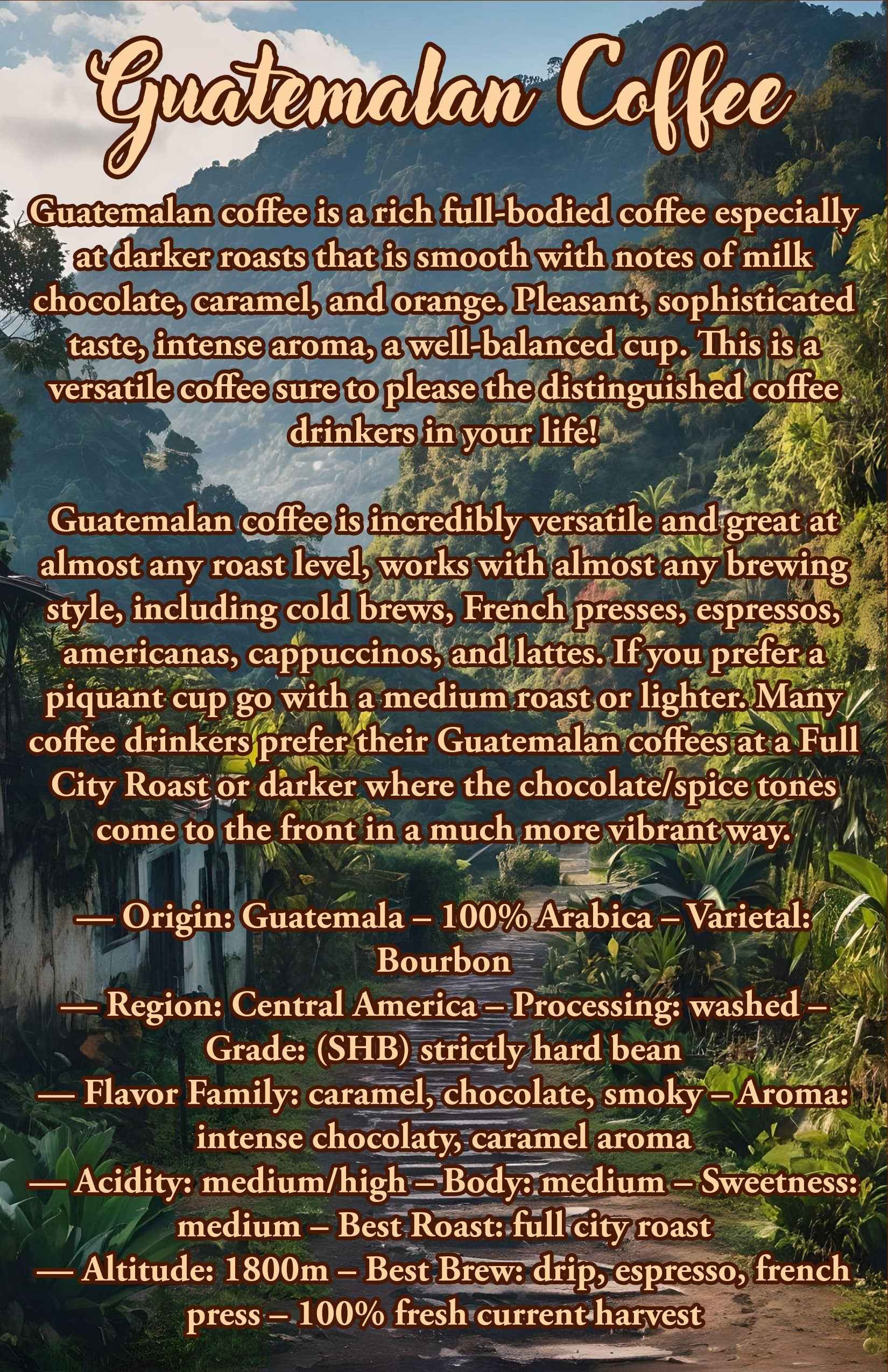 12 Oz Guatemalan Coffee | 100% Arabica Coffee Beans | Gift Ideas |  Best Seller | - Invictus Supply Co.