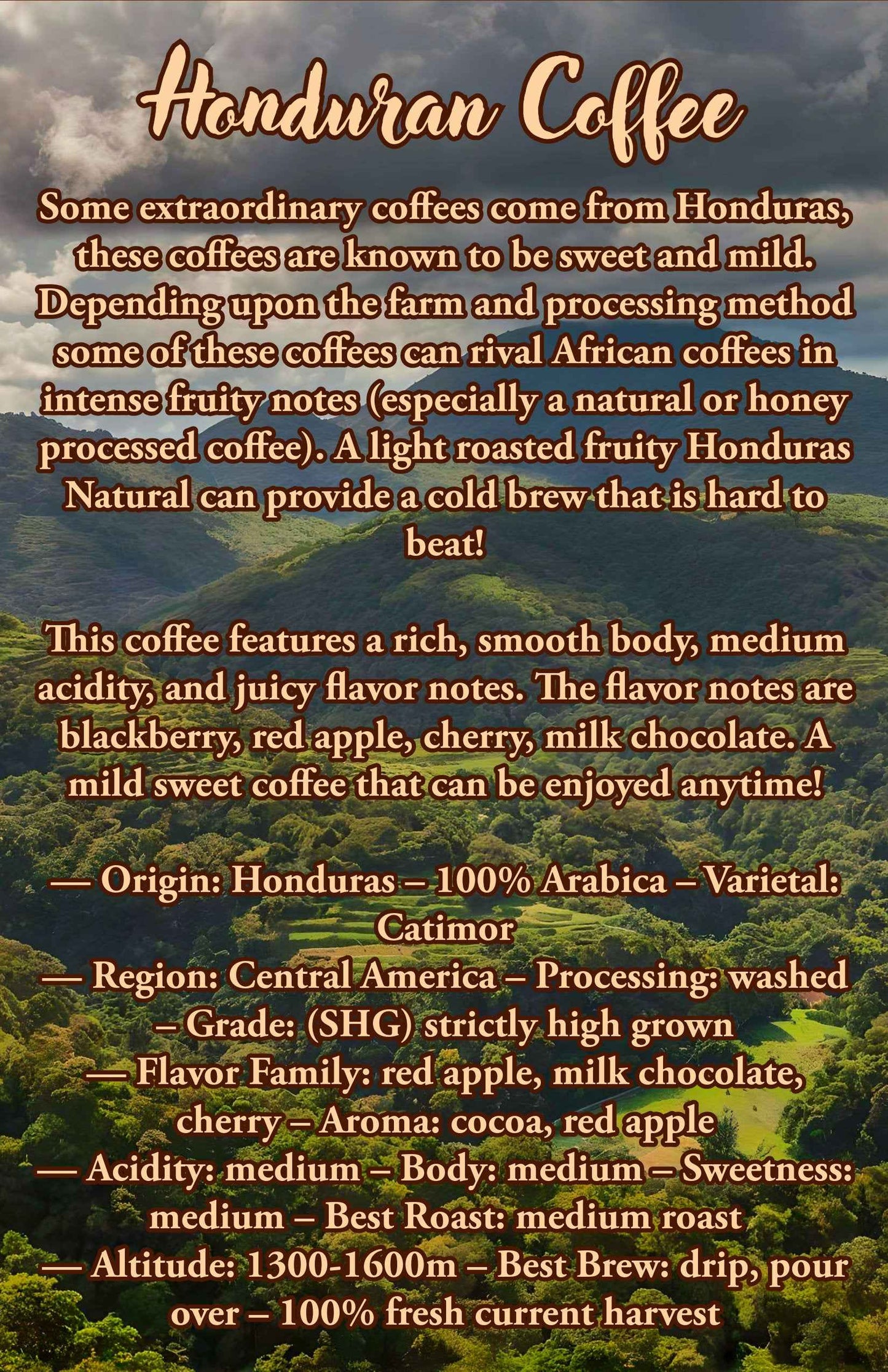 12 Oz Monsoon Malabar | 100% Arabica Coffee Beans | - Invictus Supply Co.