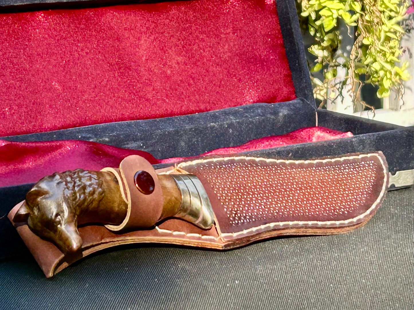 24K Gold Plated "The Alpha" Hunting Knife W/ Fine Leather Sheath & Velvet Display Case