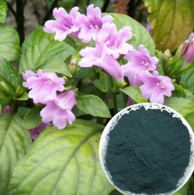 Indigo Naturalis Powder 99+% Purity