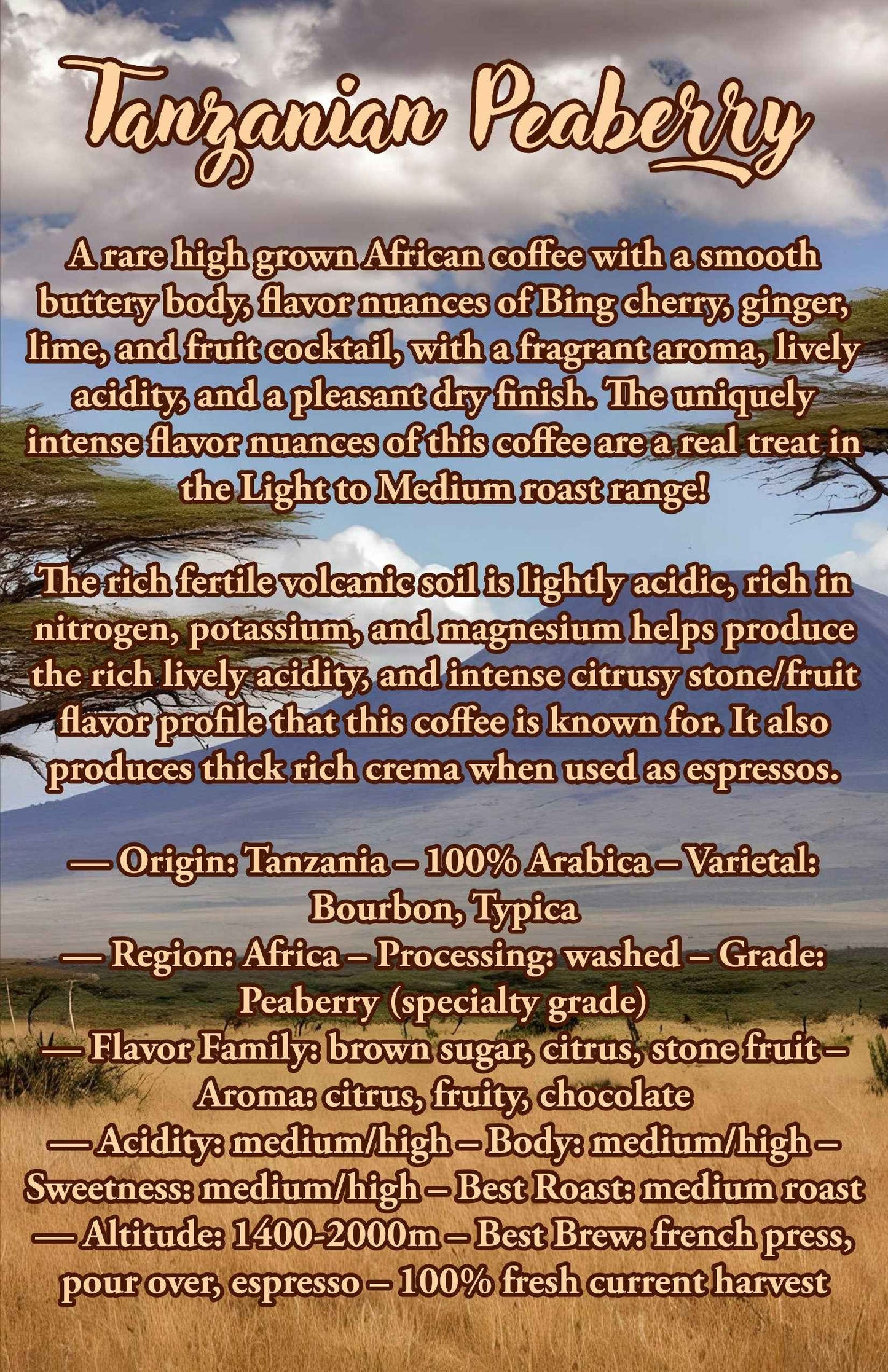 12 Oz Tanzanian Peaberry Coffee | 100% Arabica Coffee Beans | - Invictus Supply Co.