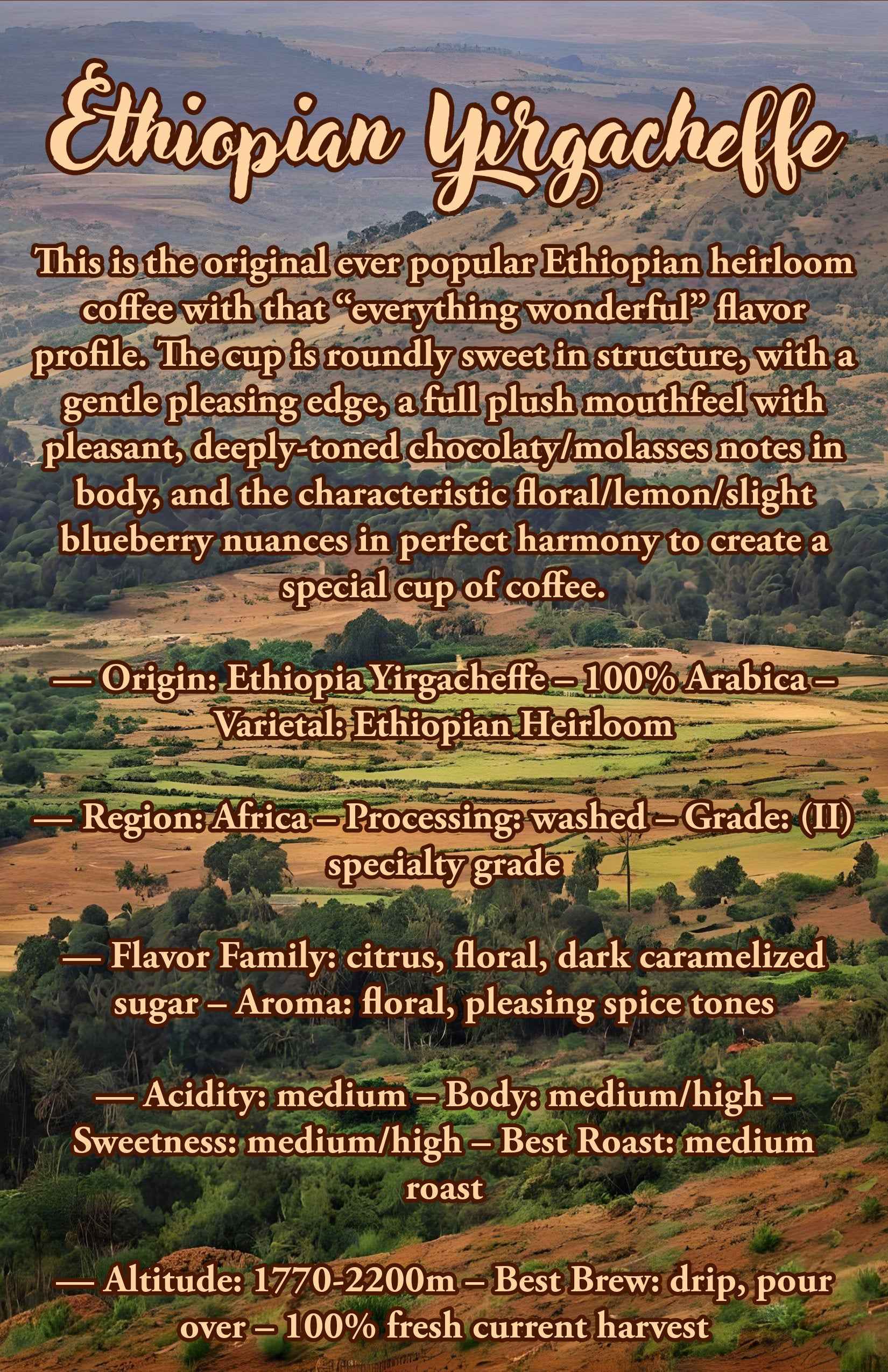 12 Oz Ethiopian Yirgacheffe Coffee | 100% Arabica Coffee Beans | - Invictus Supply Co.