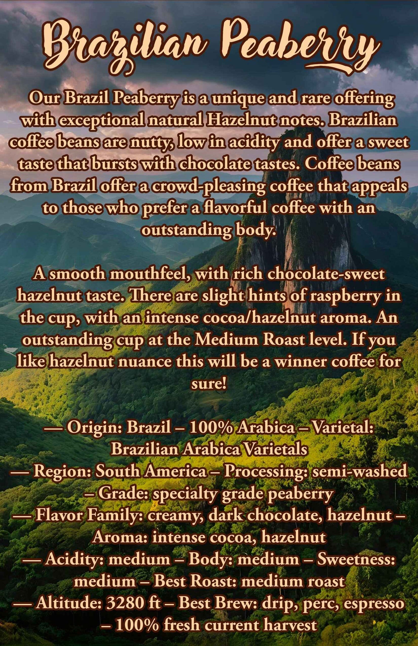 12 Oz Brazilian Peaberry Coffee | 100% Arabica Coffee Beans | - Invictus Supply Co.