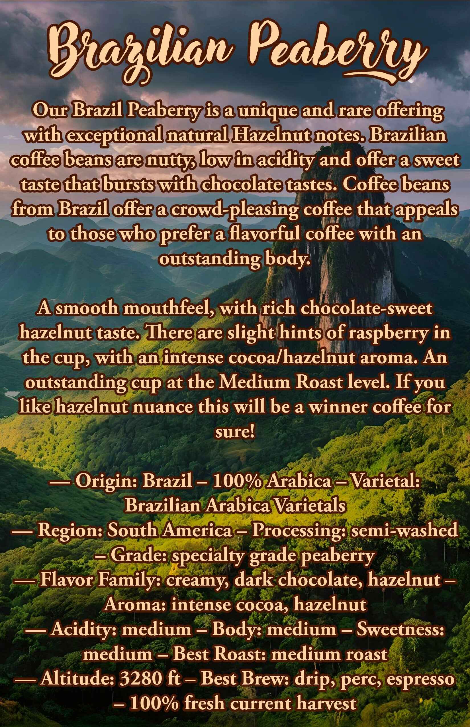 12 Oz Brazilian Peaberry Coffee | 100% Arabica Coffee Beans | - Invictus Supply Co.