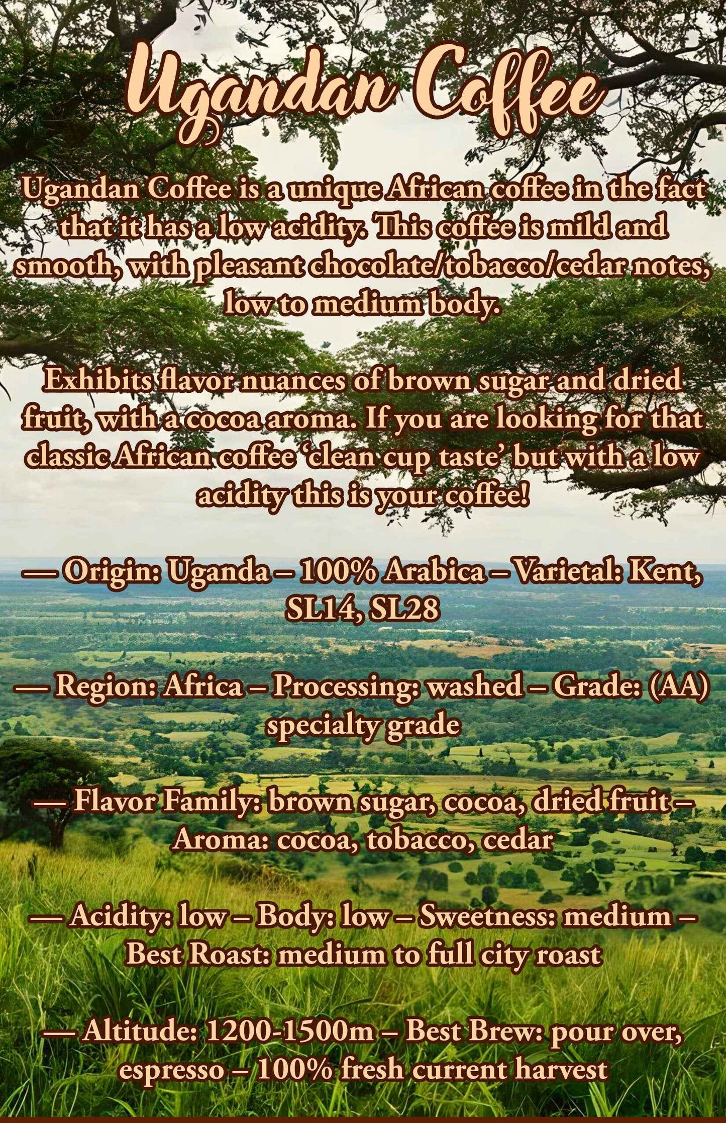 12 Oz Ugandan Coffee | 100% Arabica Coffee Beans | - Invictus Supply Co.
