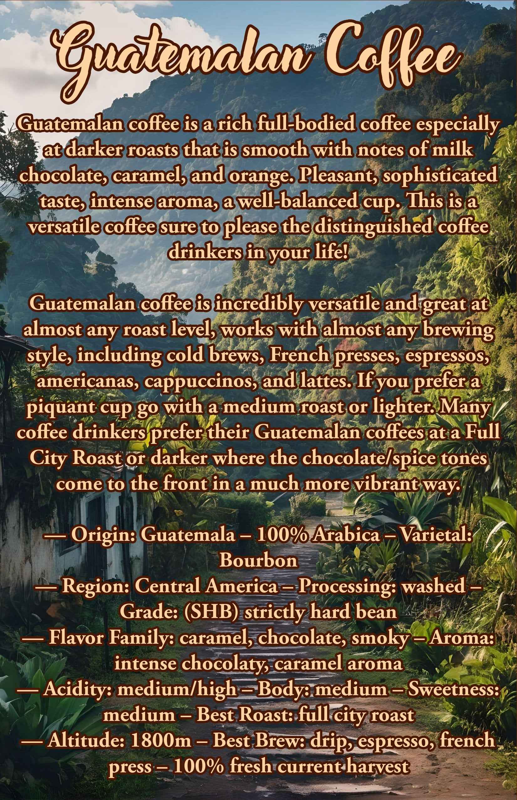 36 Oz Guatemalan Coffee Bean Sampler | 100% Arabica Coffee Beans | - Invictus Supply Co.